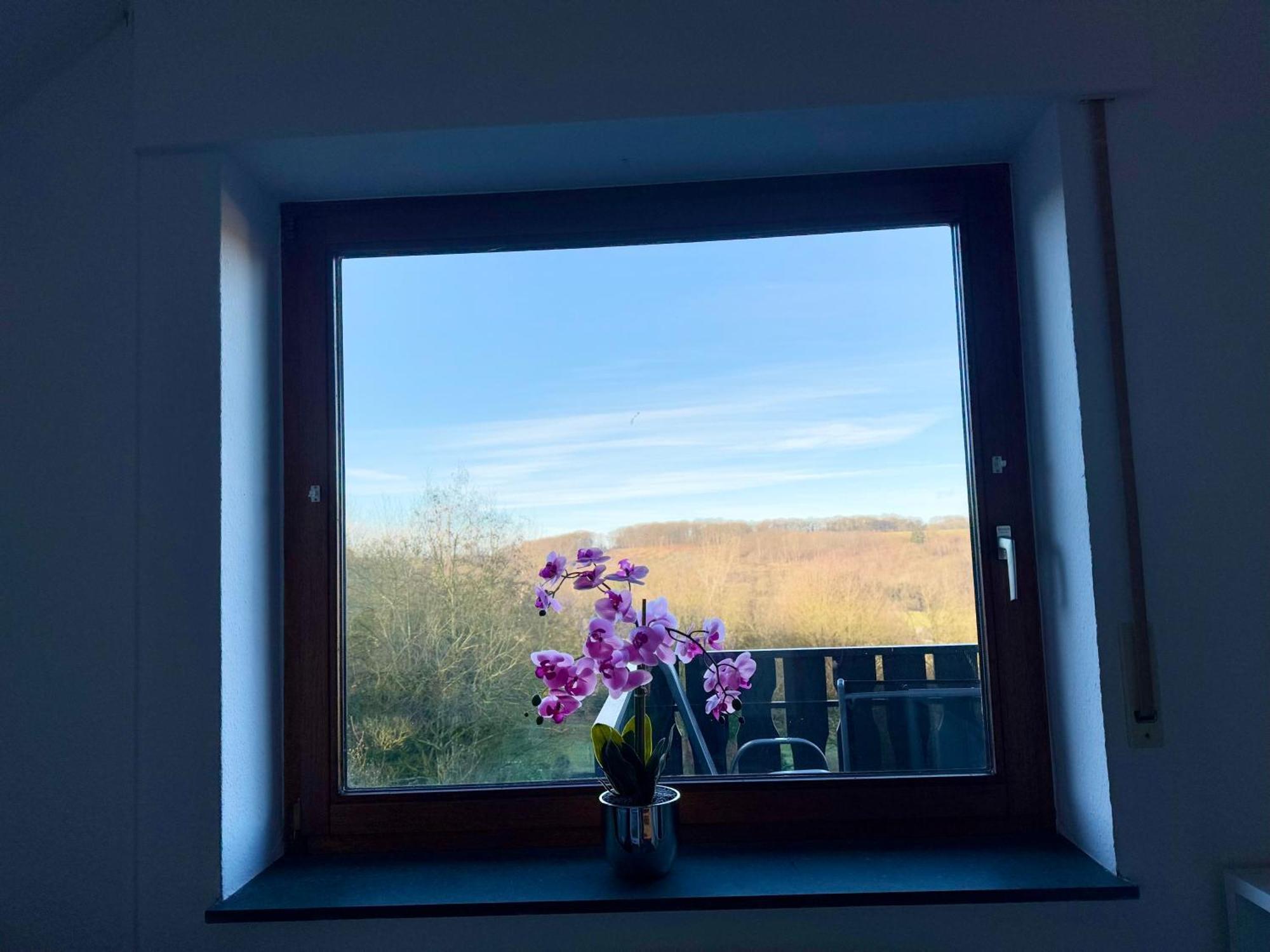 Moehne Ferienwohnung Möhnesee エクステリア 写真